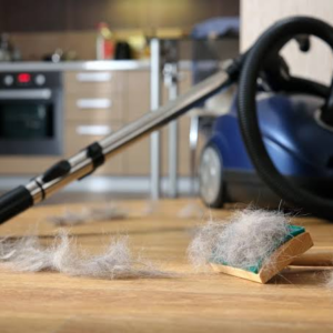Powerful Cordless Vacuum Cleaner